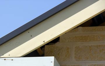 Kedlock fascia repairs