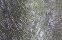 Kedlock fibreglass roof work
